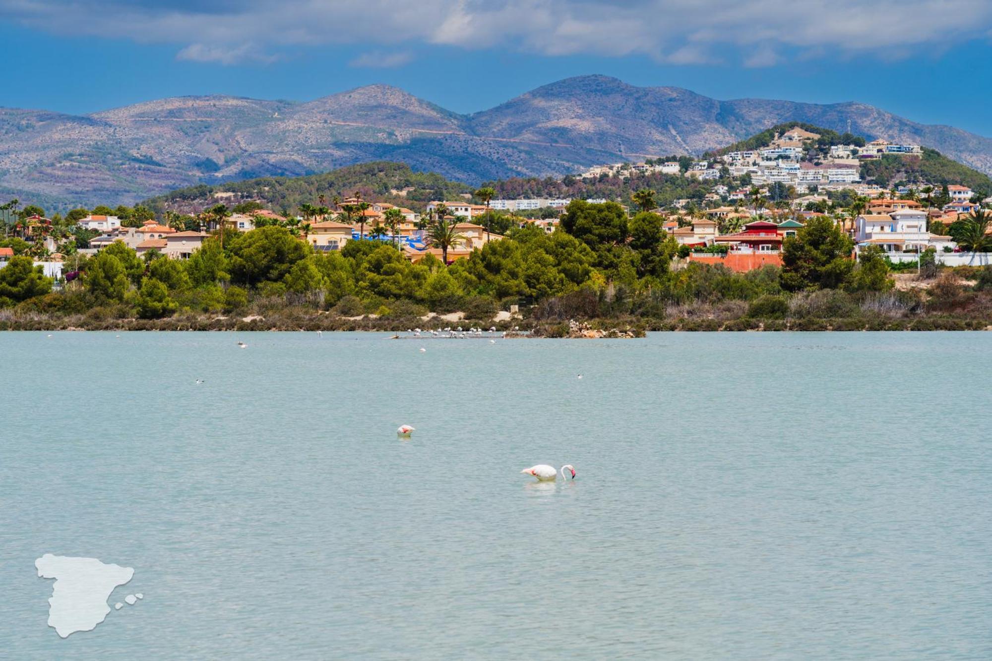 Costablancadreams White Flamingo In Villa *